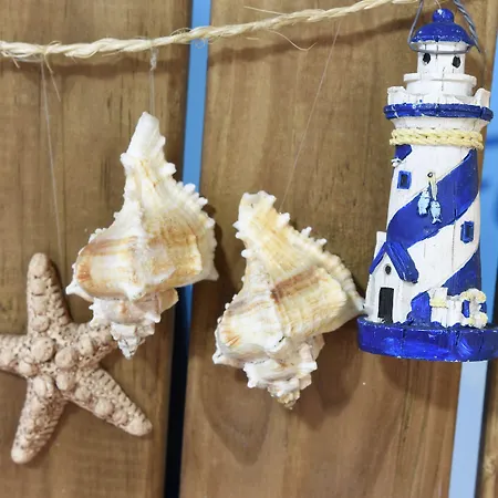 Tinoca Las Palmas de Gran Canaria